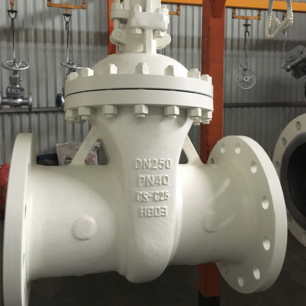 WCB GS-C25 DIN GATE VALVE